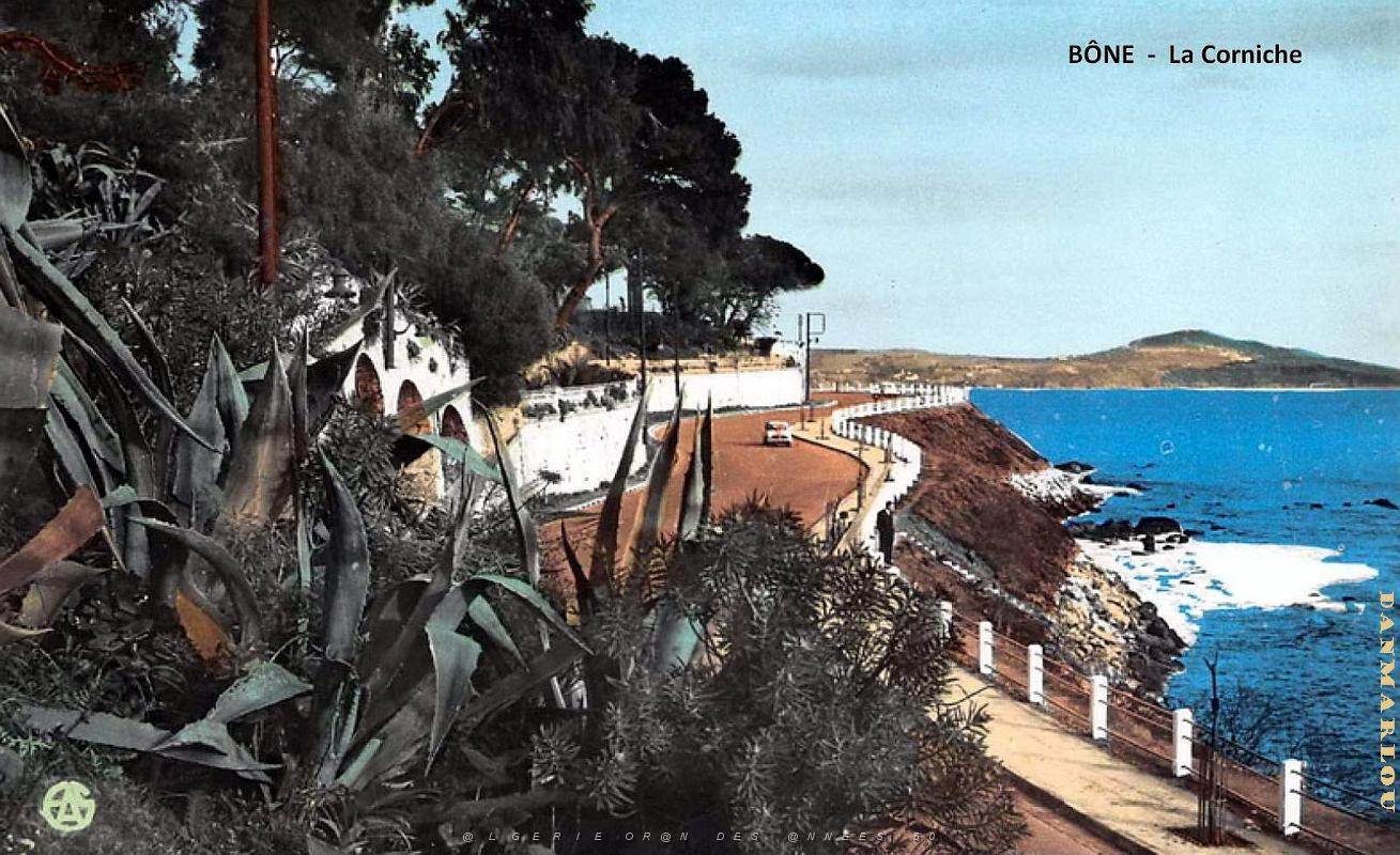 Bone - Corrniche.jpg
